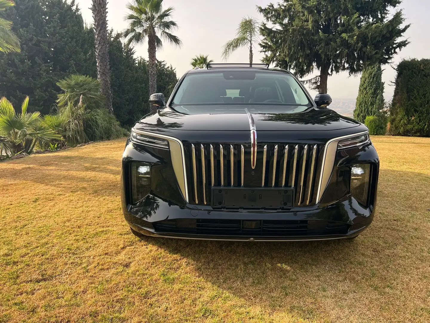 Hongqi E-HS9 Exklusive Long Range President - 2