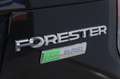 Subaru Forester AWD ECO BI-FUEL LINEARTRONIC EXECUTIVE Gris - thumbnail 14