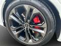 Audi Q7 50 TDI quattro S-LINE*7-SITZER*AHK*PANO*OPTIK Weiß - thumbnail 12