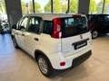 Fiat Panda 1.0 Hybrid Easy 70cv S&S Blanc - thumbnail 4