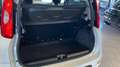Fiat Panda 1.0 Hybrid Easy 70cv S&S Blanc - thumbnail 12