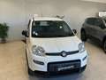 Fiat Panda 1.0 Hybrid Easy 70cv S&S Blanc - thumbnail 3
