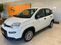 Fiat Panda 1.0 Hybrid Easy 70cv S&S Blanc - thumbnail 1
