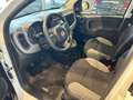 Fiat Panda 1.0 Hybrid Easy 70cv S&S Blanc - thumbnail 6