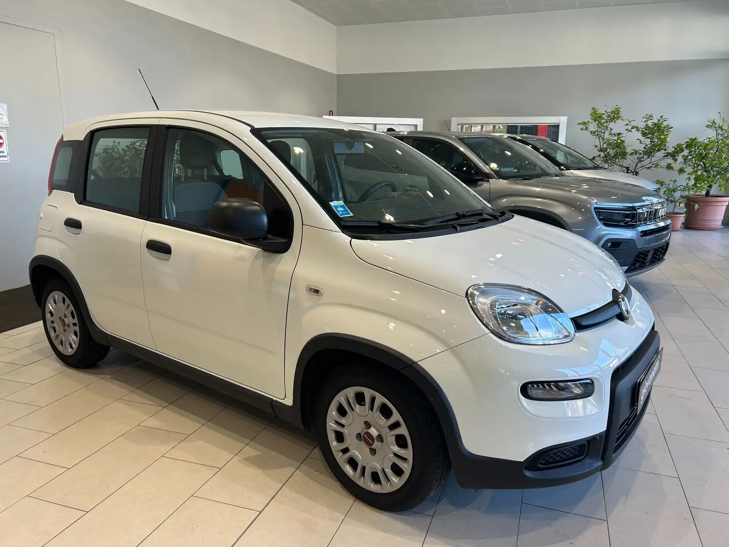 Fiat Panda 1.0 Hybrid Easy 70cv S&S Blanc - 2