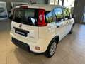 Fiat Panda 1.0 Hybrid Easy 70cv S&S Blanc - thumbnail 5