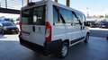 Fiat Ducato 30 2.2 Mjt 140CV PC-TN Panorama Wit - thumbnail 6