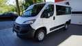 Fiat Ducato 30 2.2 Mjt 140CV PC-TN Panorama Wit - thumbnail 1
