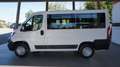 Fiat Ducato 30 2.2 Mjt 140CV PC-TN Panorama Wit - thumbnail 2