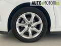 DS Automobiles DS 3 BlueHDi 75 Sport Chic Bianco - thumbnail 8