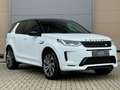 Land Rover Discovery Sport P300e 1.5 PHEV |HSE|R Dynamic|Pano|Head-up|Memory| Weiß - thumbnail 3