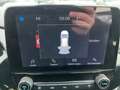 Ford Fiesta Titanium 5-türig 1,1L 75PS M5 F Gris - thumbnail 14