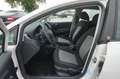 SEAT Ibiza 1.0 Reference |1.Hand| |8-fach bereift| Weiß - thumbnail 15
