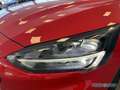 Ford Focus 1.5 EcoBlue ST-Line AHK/LED/B&O/Winter-Paket Rot - thumbnail 17