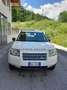 Land Rover Freelander SW 2.0 td4 E - thumbnail 2