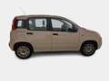 Fiat Panda 1.2 Easy 69cv E6 - thumbnail 3