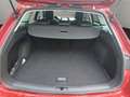 SEAT Leon Sportstourer 2.0 TDI Xcellence Allwetterrei Rot - thumbnail 17