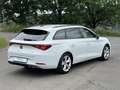 SEAT Leon 1.5 eTSI,Sportpaket,Sitzheizung,Kamera,Navi Wit - thumbnail 6