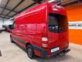 Mercedes-Benz Sprinter Kasten 316CDI Automatik Navi Xenon AHK Rouge - thumbnail 7