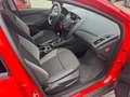 Ford Focus Turnier Ambiente Rouge - thumbnail 10