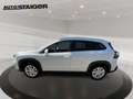 Suzuki S-Cross 1.5 Dualjet Comfort 6 Jahre Garantie !! Weiß - thumbnail 9