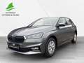 Skoda Fabia Selection 1.0 TSI LED + SHZ + RFK + PDC Grau - thumbnail 2