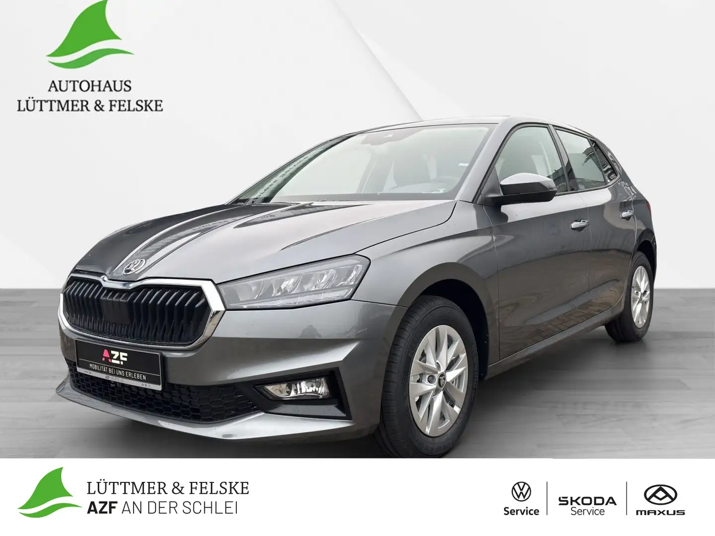 Skoda Fabia Selection 1.0 TSI LED + SHZ + RFK + PDC Grau - 1