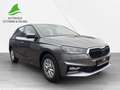Skoda Fabia Selection 1.0 TSI LED + SHZ + RFK + PDC Grau - thumbnail 9