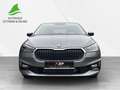 Skoda Fabia Selection 1.0 TSI LED + SHZ + RFK + PDC Grau - thumbnail 6
