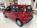 Fiat Panda 1.0 FireFly S&S 70cv Hybrid KM.ZERO Rosso - thumbnail 3