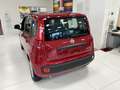Fiat Panda 1.0 FireFly S&S 70cv Hybrid KM.ZERO Rosso - thumbnail 5