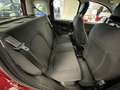Fiat Panda 1.0 FireFly S&S 70cv Hybrid KM.ZERO Rosso - thumbnail 8