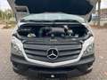 Mercedes-Benz Sprinter 314 BlueTEC 9Sitze+Rollstuhllift Klima Weiß - thumbnail 33