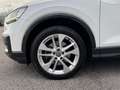 Audi Q2 2.0 TDI 190 CV QUATTRO S TRONIC S LINE EDITION Blanco - thumbnail 38