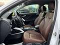 Audi Q2 2.0 TDI 190 CV QUATTRO S TRONIC S LINE EDITION Blanco - thumbnail 7