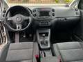 Volkswagen Golf Plus VI Comfortline Wit - thumbnail 7