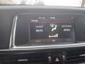 Kia Optima Optima 1,7 CRDi ISG Gold Gold Weiß - thumbnail 6