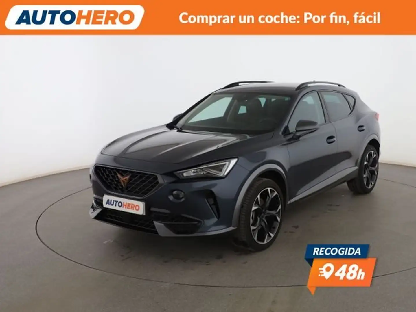 CUPRA Formentor 1.5 TSI ACT Grau - 1