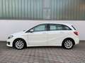Mercedes-Benz B 180 D SPORT AUTO NAVI PELLE XENO CRUISE PDC Blanc - thumbnail 3
