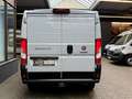 Fiat Ducato 2.2 D L1H1 AUTOMATIK AHK SORTIMO REGALE Gris - thumbnail 9