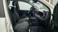 Fiat Panda Pandina 1.0 firefly hybrid Pop s Blanc - thumbnail 11