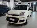 Fiat Panda Pandina 1.0 firefly hybrid Pop s Blanc - thumbnail 2