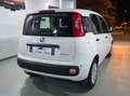 Fiat Panda Pandina 1.0 firefly hybrid Pop s Blanc - thumbnail 4