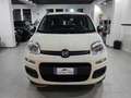 Fiat Panda Pandina 1.0 firefly hybrid Pop s Blanc - thumbnail 1