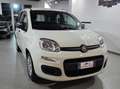 Fiat Panda Pandina 1.0 firefly hybrid Pop s Blanc - thumbnail 3