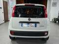 Fiat Panda Pandina 1.0 firefly hybrid Pop s Blanc - thumbnail 5