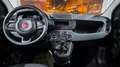 Fiat Panda Pandina 1.0 firefly hybrid Pop s Blanc - thumbnail 10