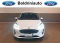 Ford Fiesta Fiesta 5p 1.5 ecoblue Titanium 85cv neopatentati Bianco - thumbnail 2