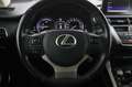 Lexus NX 300h Gris - thumbnail 20