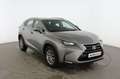 Lexus NX 300h Gris - thumbnail 8
